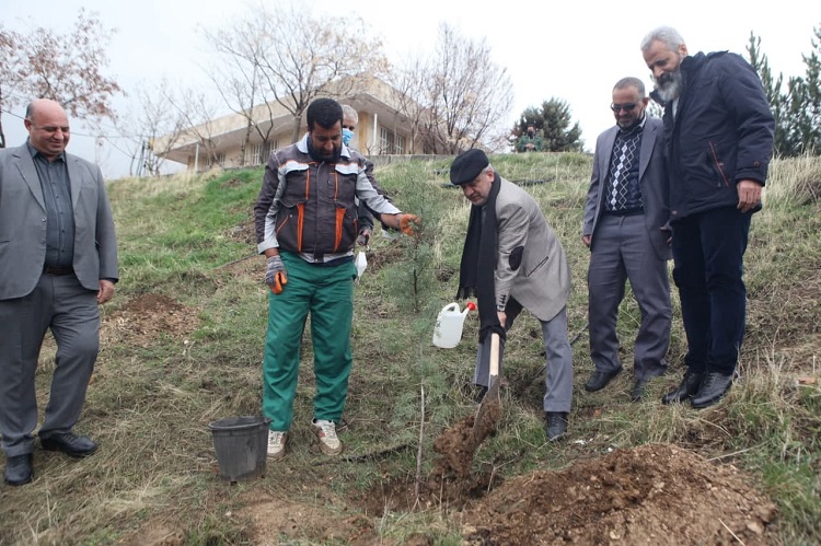 برگزاری مراسم روز درختکاری در پارک علم و فناوری دانشگاه